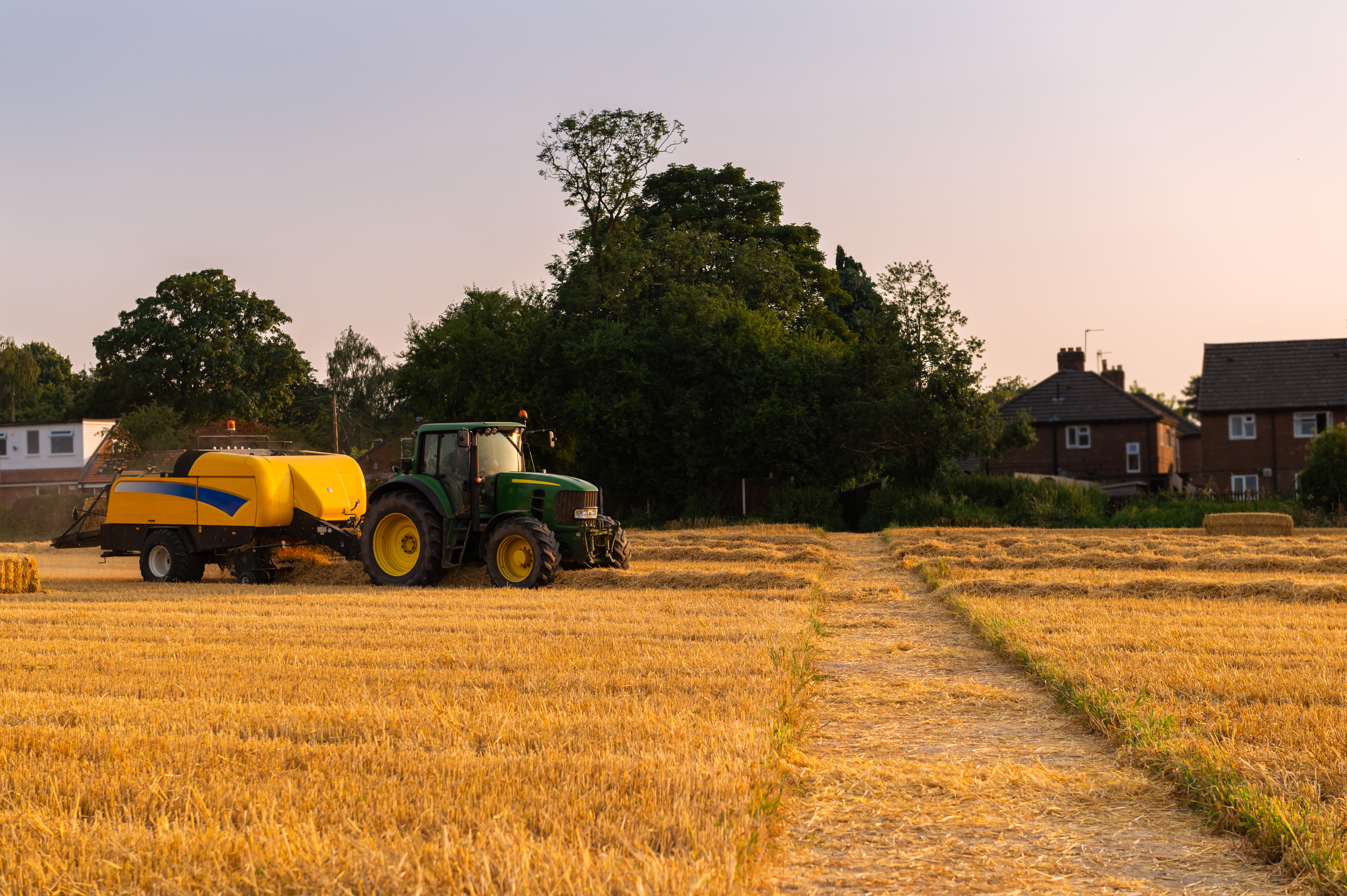 Process of hay making during harvesting Process of hay making during harvesting