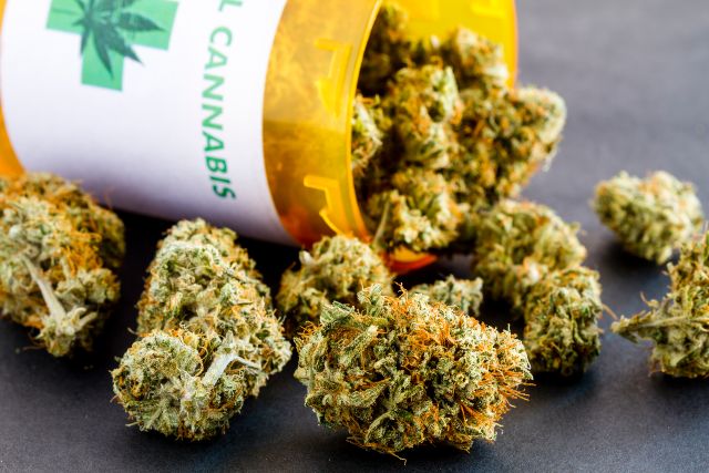 Medical Marijuana Law sec