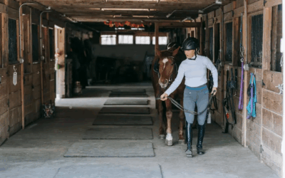 Equine Law Insights: Legal Considerations for Warren County Horse Enthusiasts