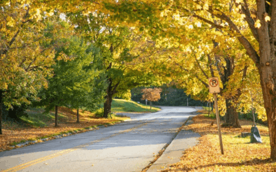 Understanding Implied Consent: What Every Virginia Driver Needs to Know