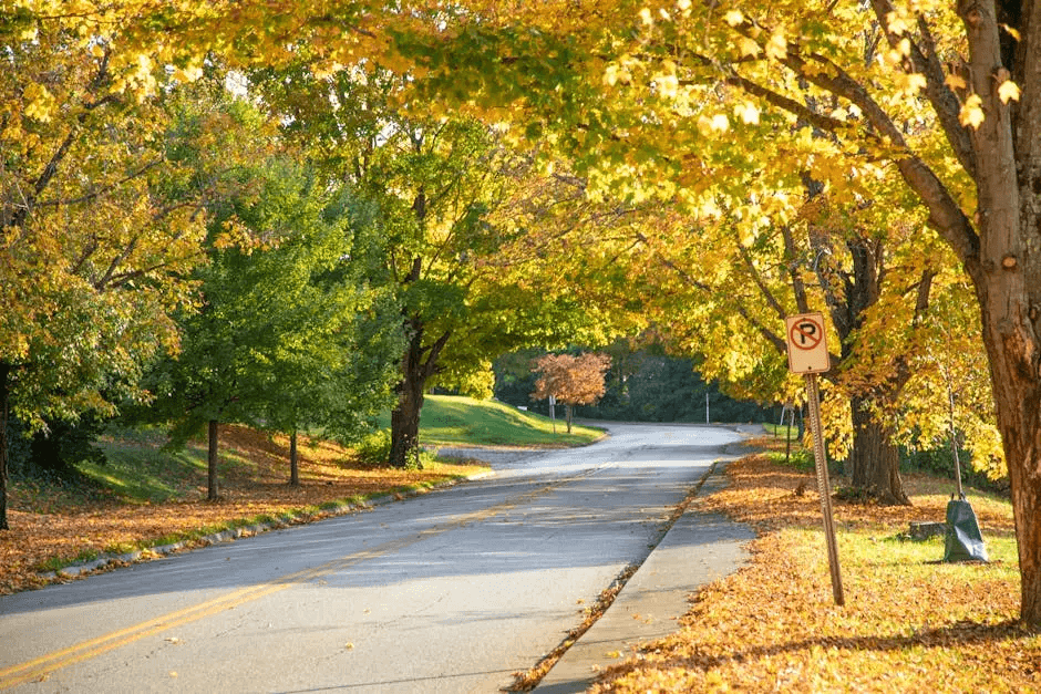 Understanding Implied Consent: What Every Virginia Driver Needs to Know