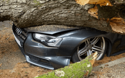 What Should I Do After an Accident in Warrenton, Virginia?