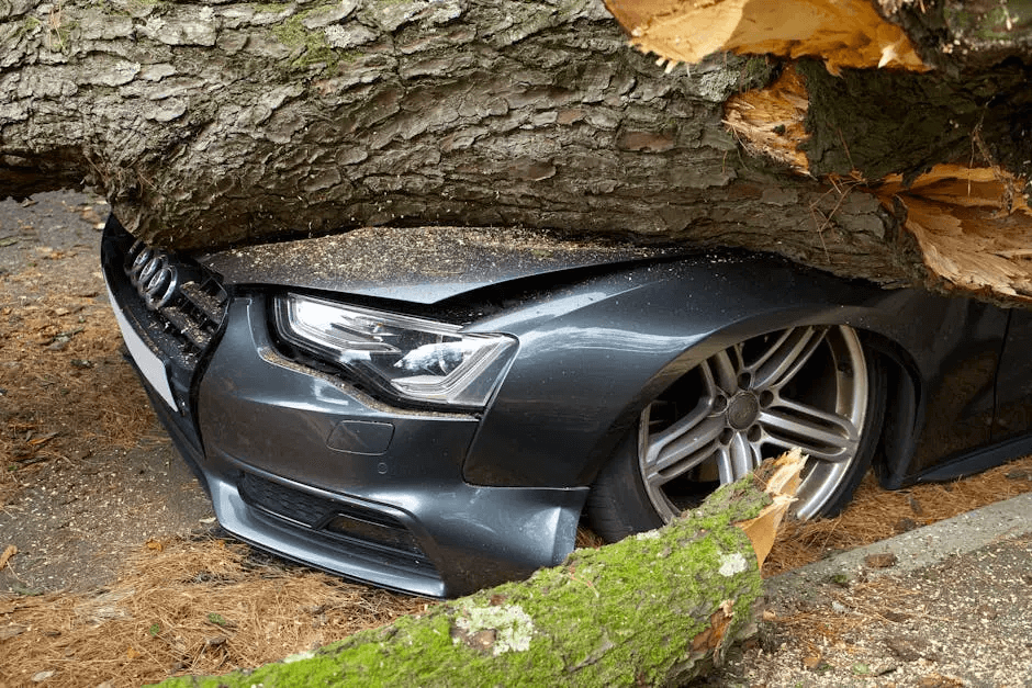 What Should I Do After an Accident in Warrenton, Virginia?